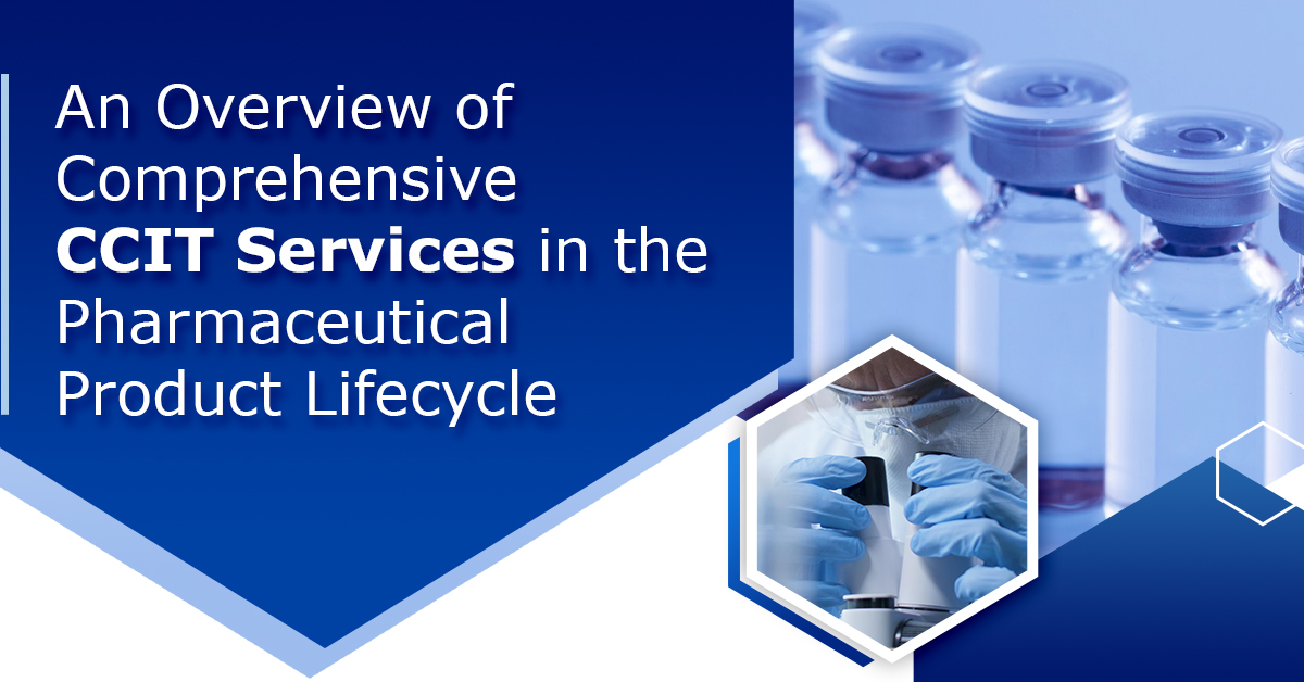 An Overview of Comprehensive CCIT Services in the Pharmaceutical Product Lifecycle